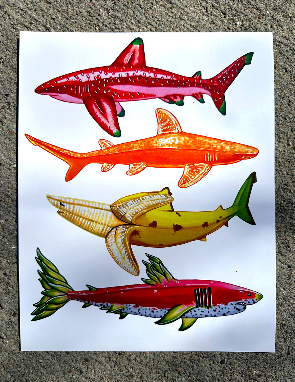 Fruit Shark Art Print 11’x8’ Wall/Home Decor