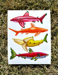 Fruit Shark Art Print 11’x8’ Wall/Home Decor