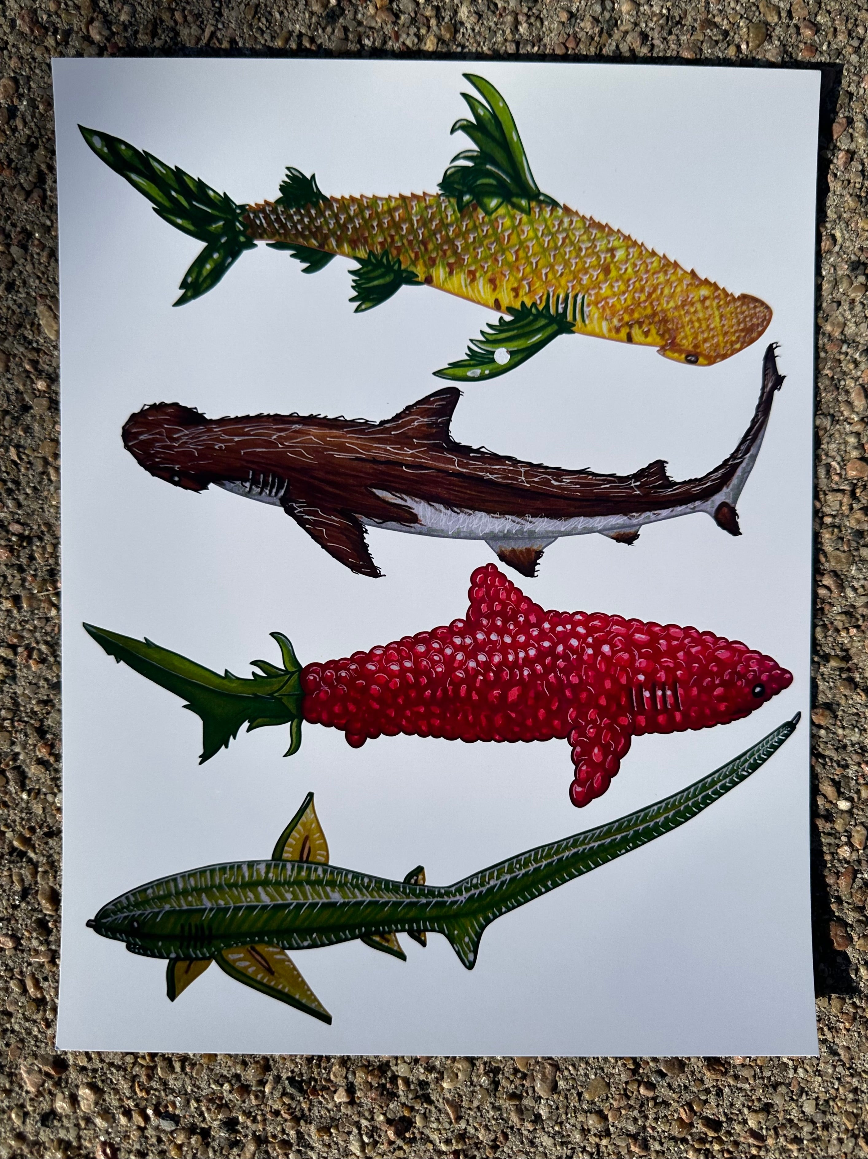 Fruit Shark Page 3 Wall art print Pineapple Coconut Raspberry Starfruit 8.5x11’