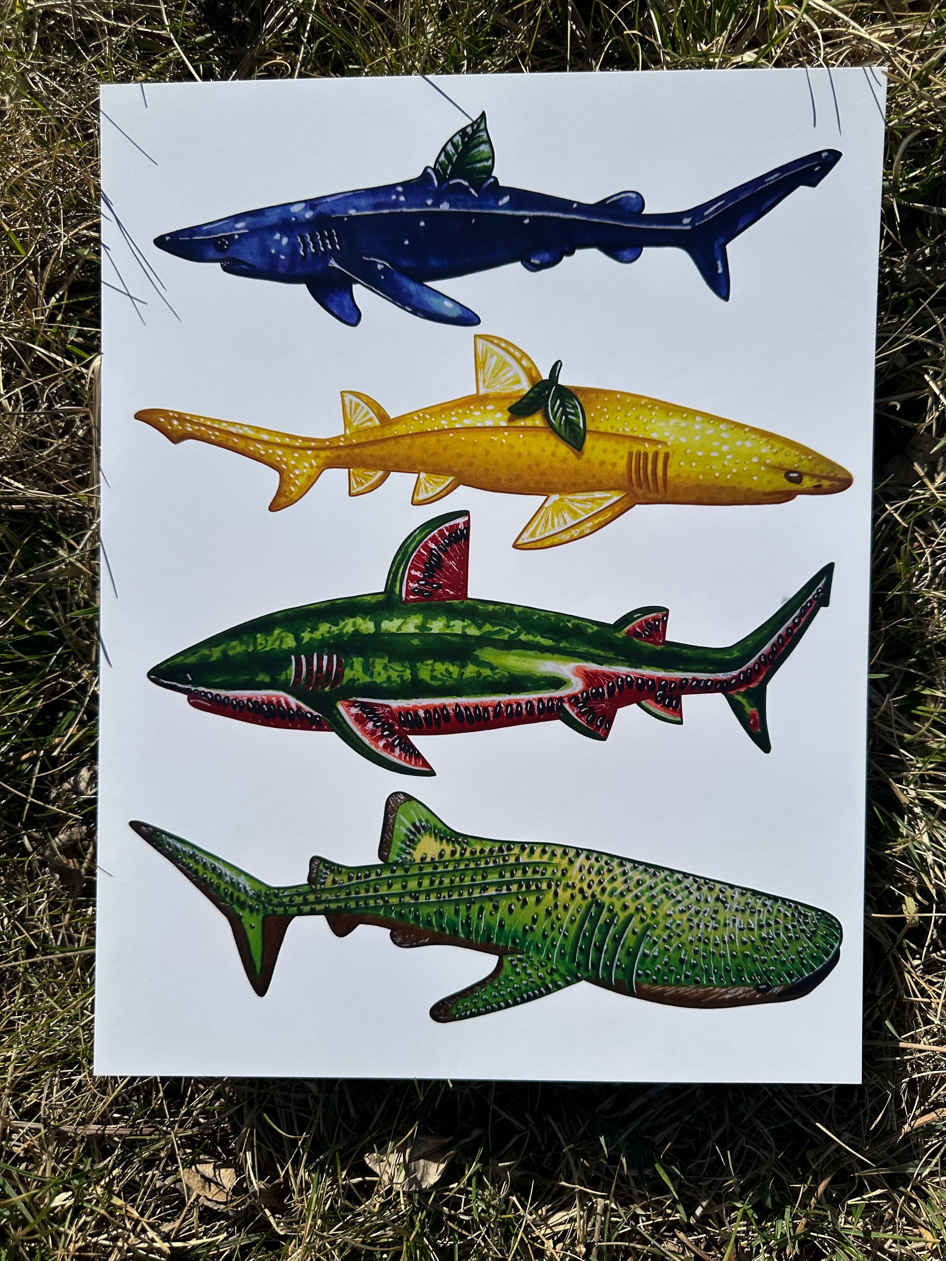 Fruit sharks page 2 Blueberry Lemon Watermelon Kiwi wall decor art piece 11x8.5’