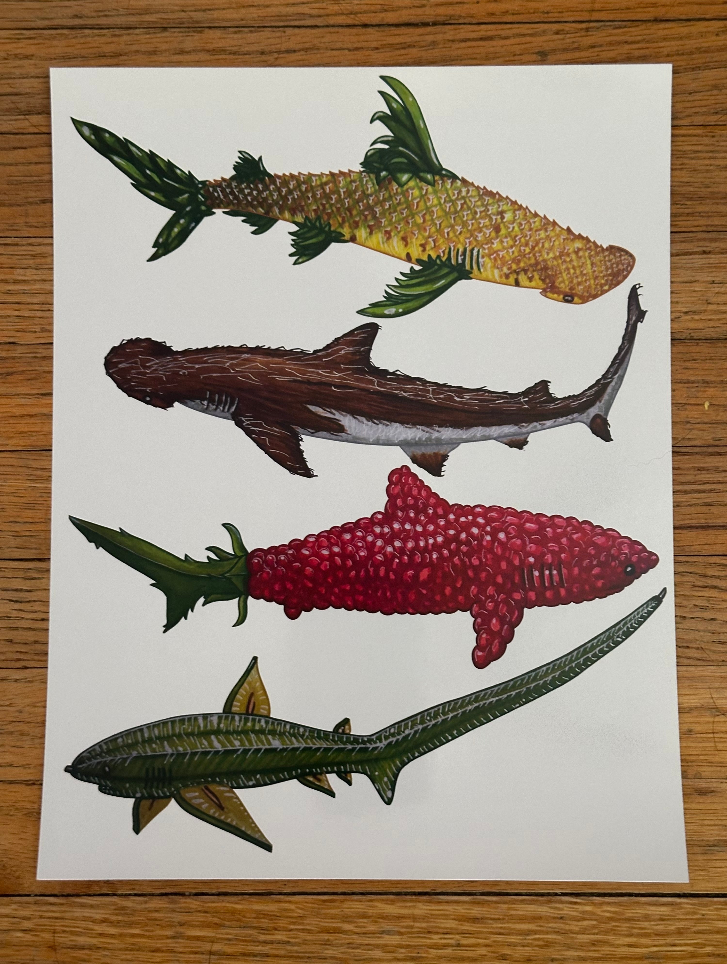Fruit Shark Page 3 Wall art print Pineapple Coconut Raspberry Starfruit 8.5x11’