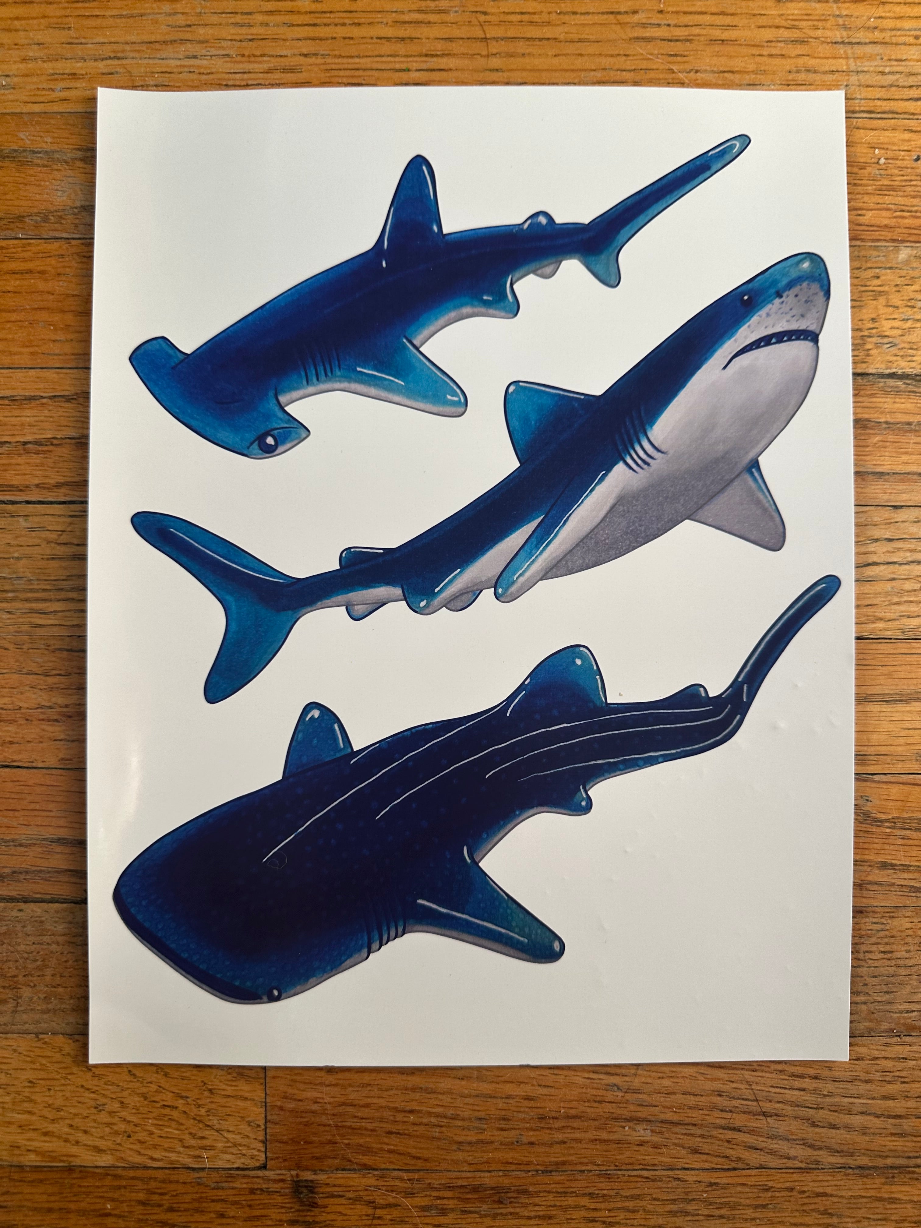 Gummy Shark 11x8.5 Art Print Wall/Home Decor
