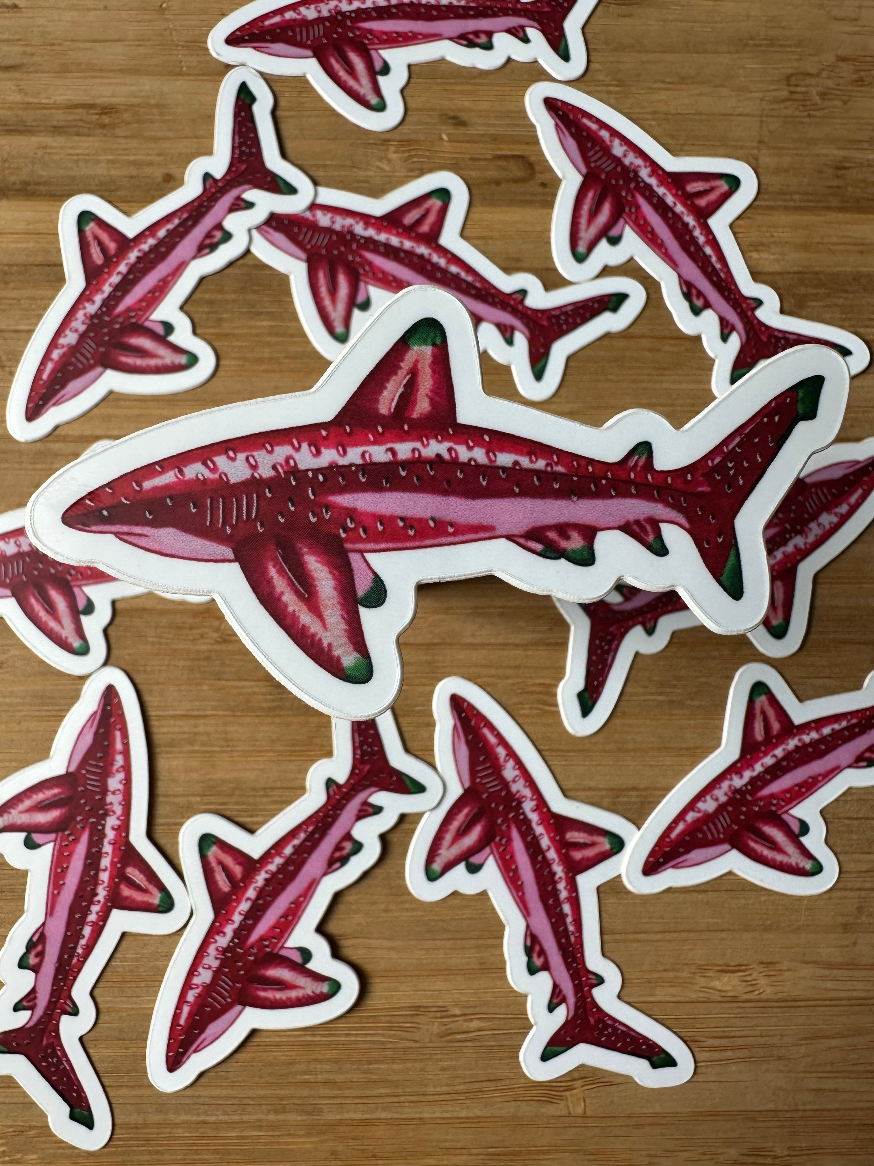 Fruit Shark Stickers 3''x 1.5''