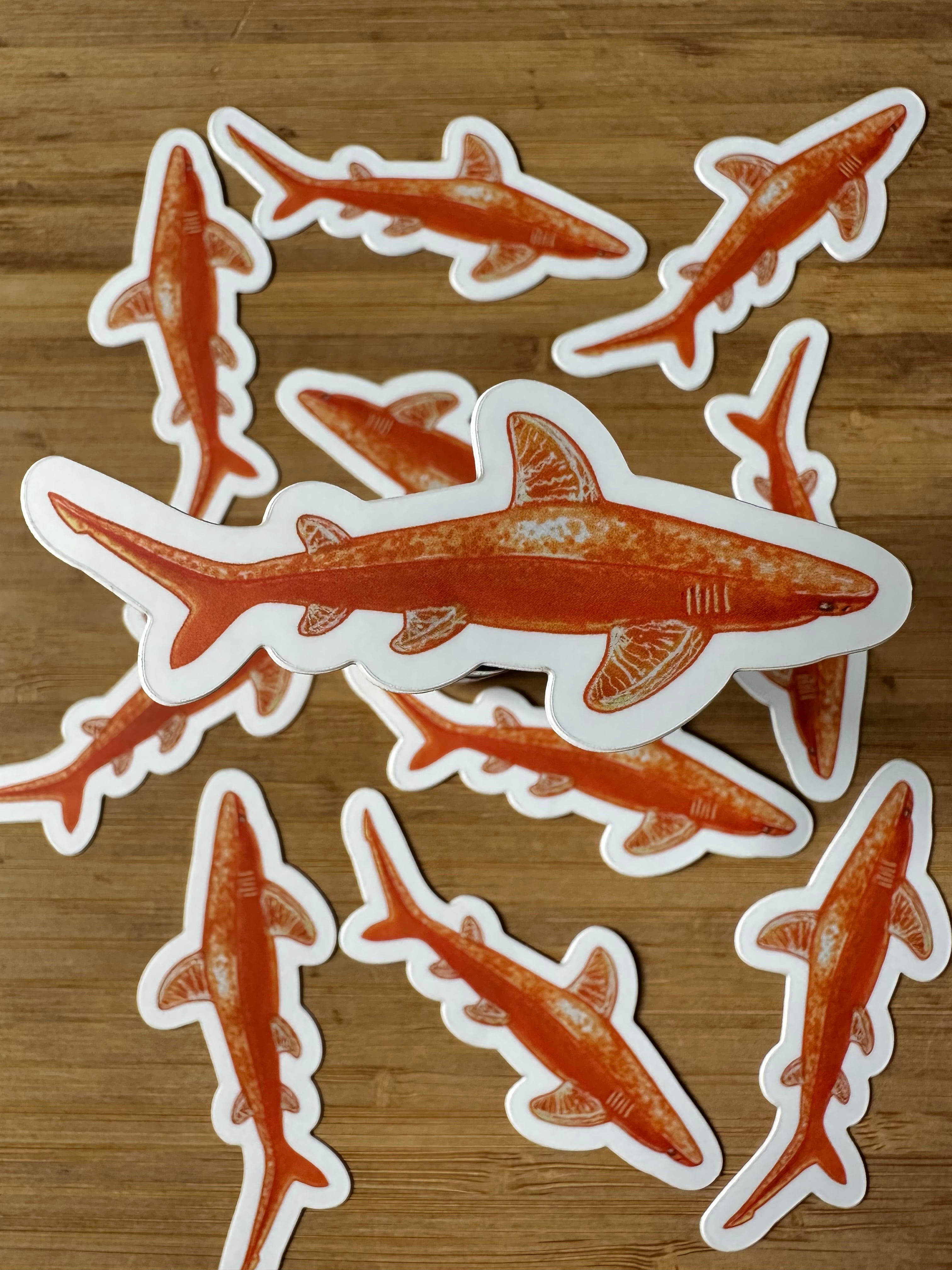 Fruit Shark Stickers 3''x 1.5''