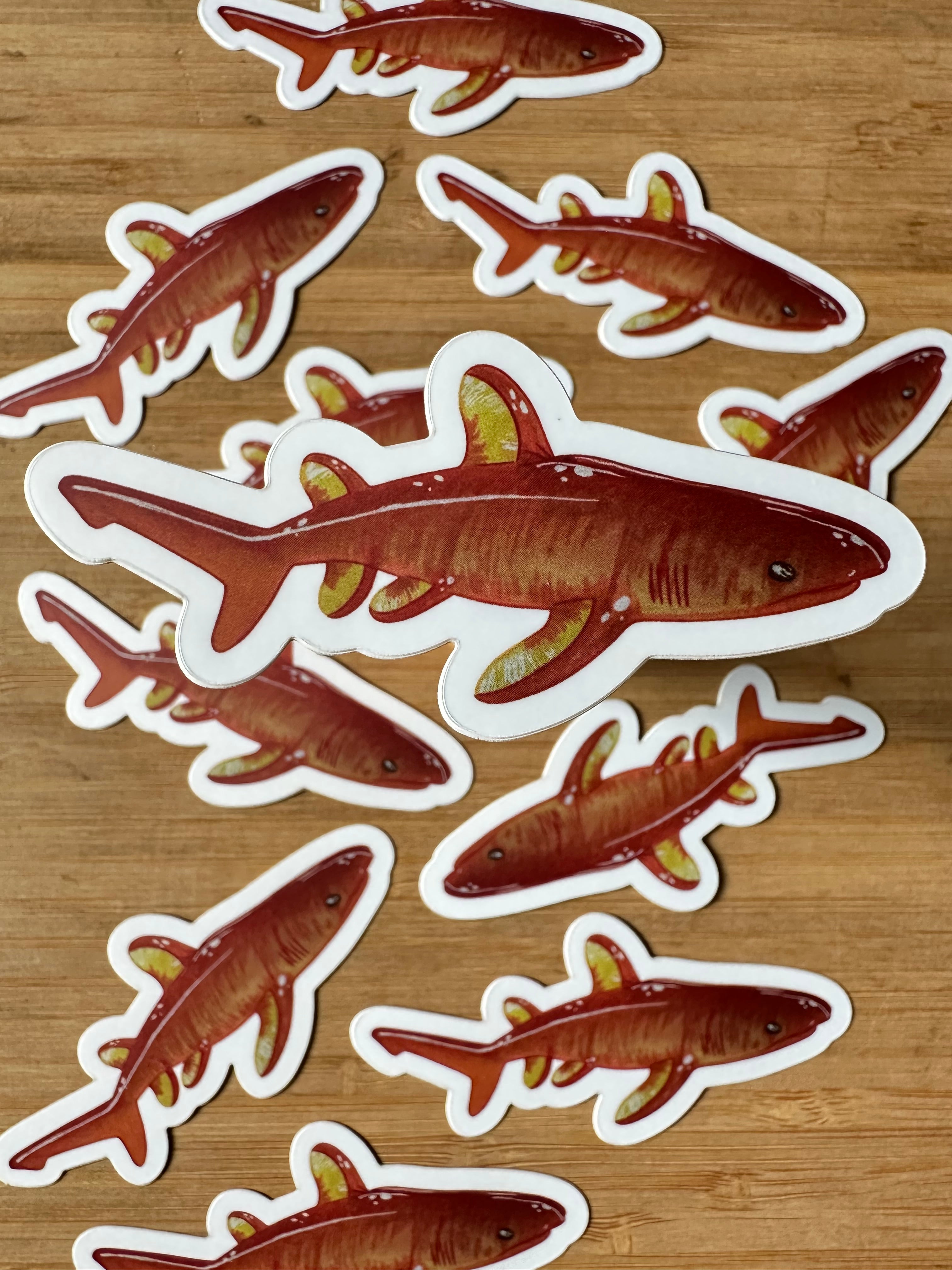 Fruit Shark Stickers 3''x 1.5''