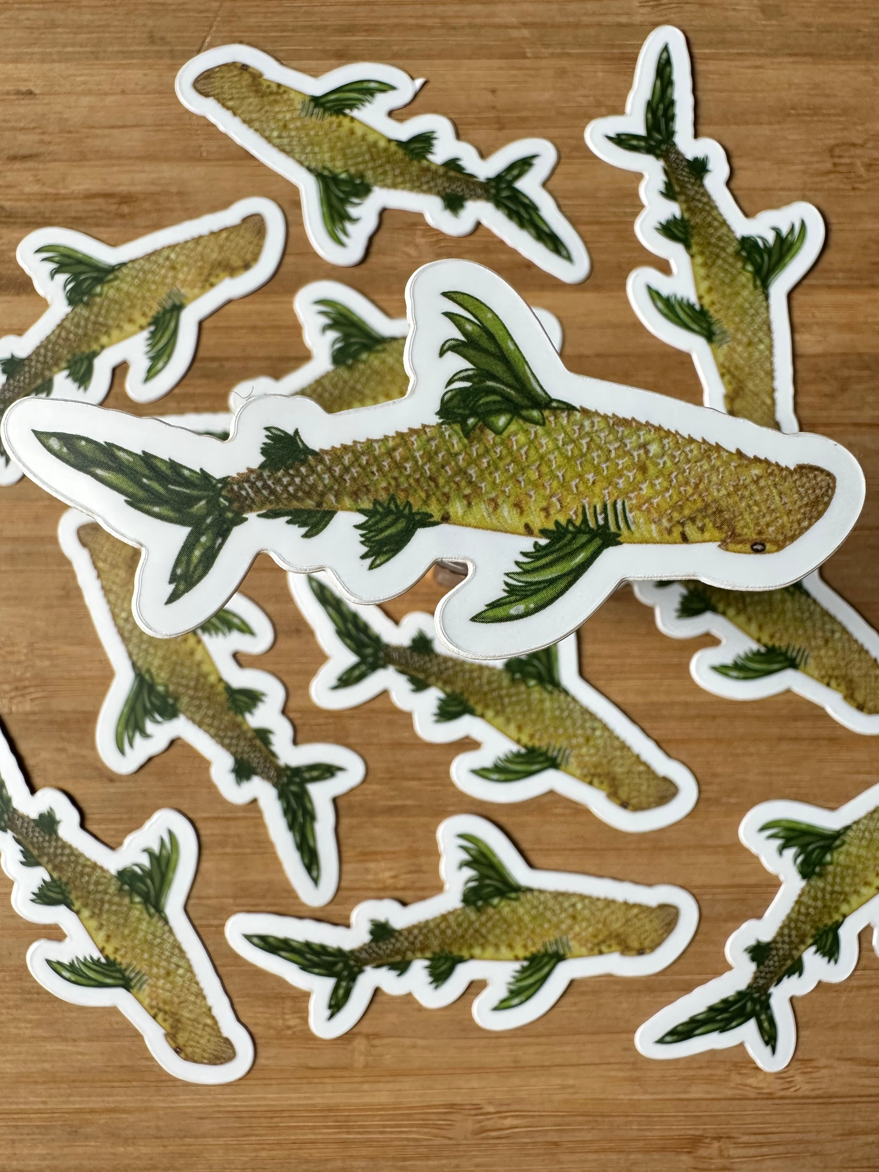 Fruit Shark Stickers 3''x 1.5''