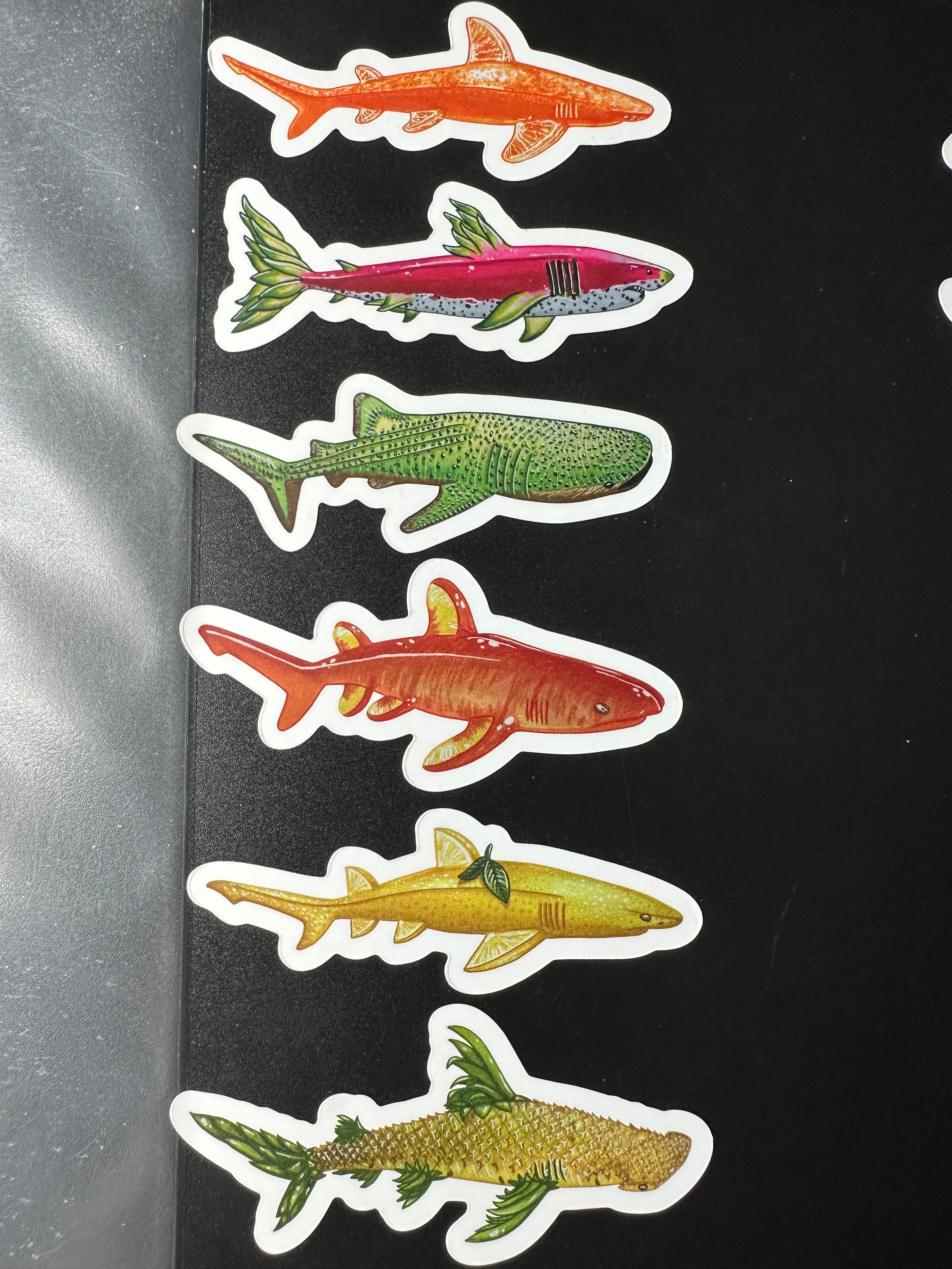 Fruit Shark Stickers 3''x 1.5''