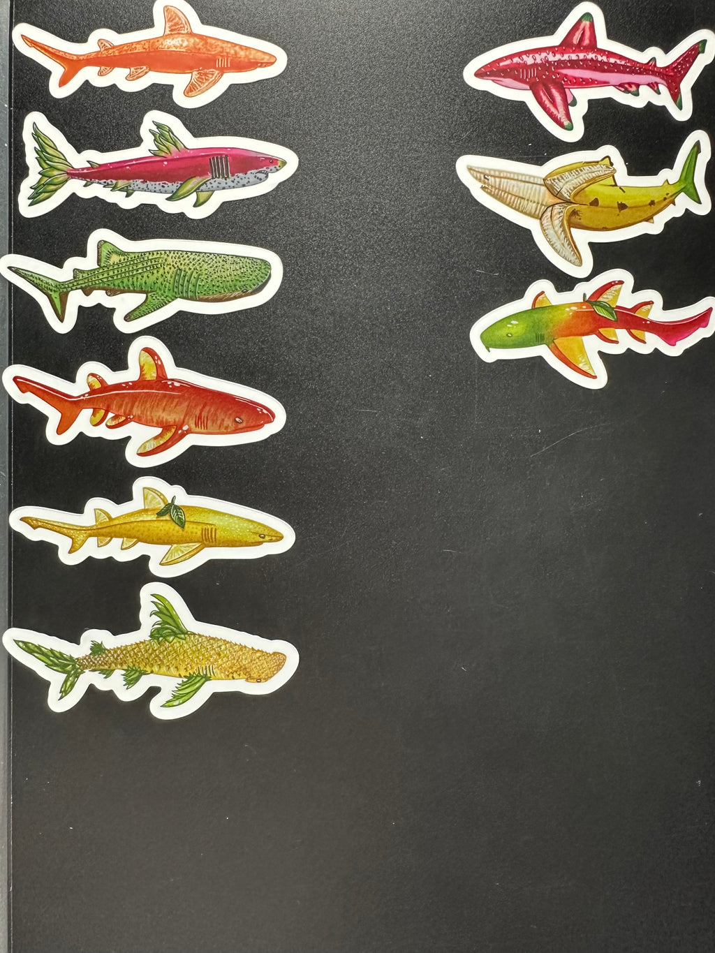 Fruit Shark Stickers 3''x 1.5''