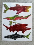 Fruit sharks page 4 Cactus Fruit, Guava, Cherry and Blackberry wall decor art piece 11x8.5’