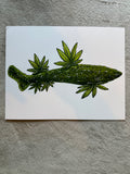 Weed Shark 11x8.5 Art Print Wall/Home Decor